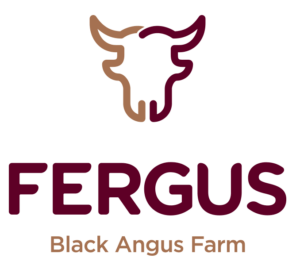 Logo Fergus Bordeaux 1
